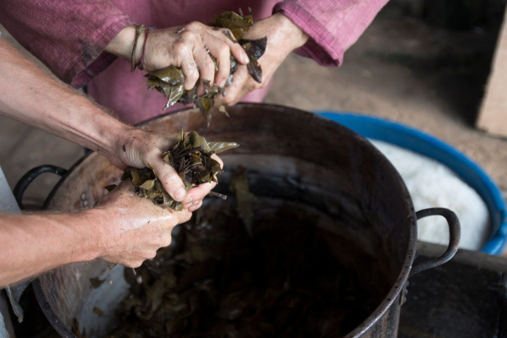 The preparation of ayahuasca