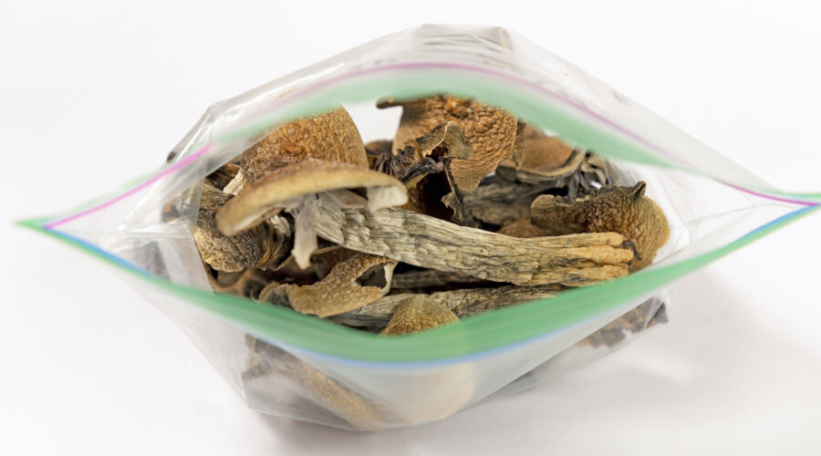Shrooms Dosage: Chart, Calculator & How-To Guide