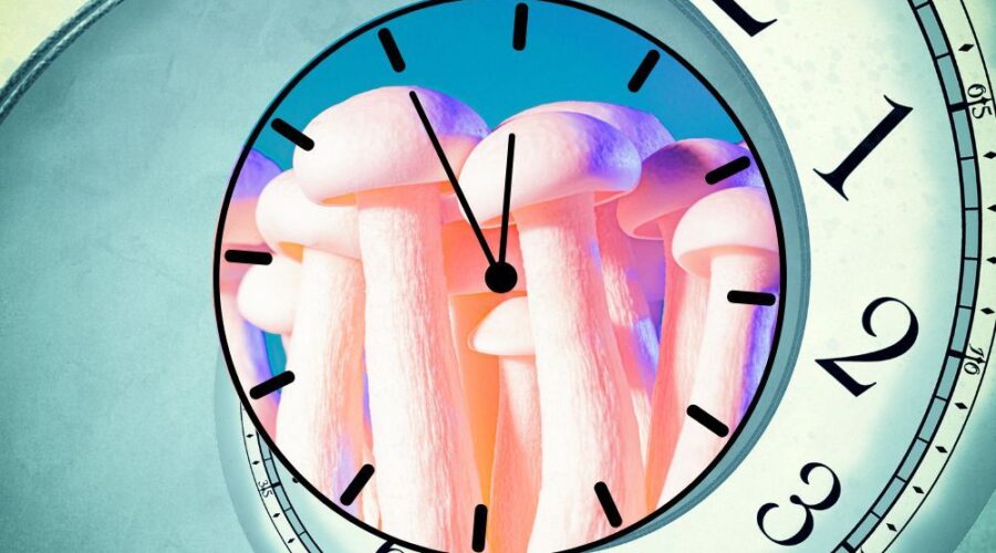 Here’s How Long It Takes for Shrooms to Kick In?