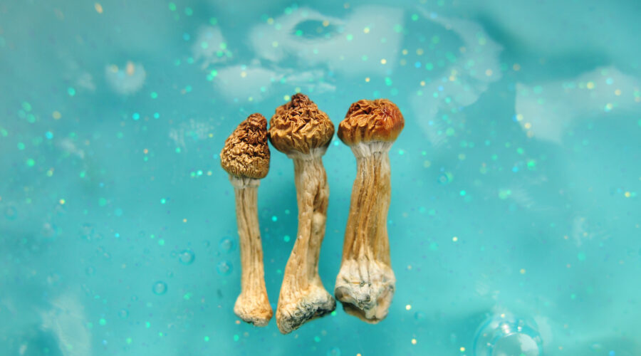 How To Microdose Shrooms Effectively