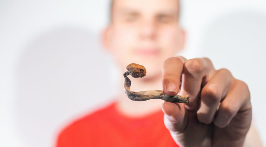 Are There Benefits Of Microdosing Mushrooms? And What Are The Risks And Legalities