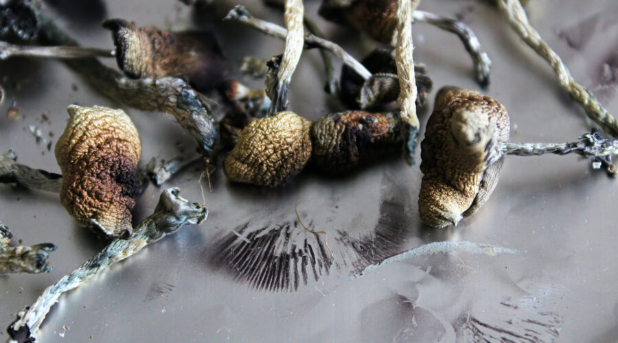Psilocybin Mushrooms (Magic Shrooms)