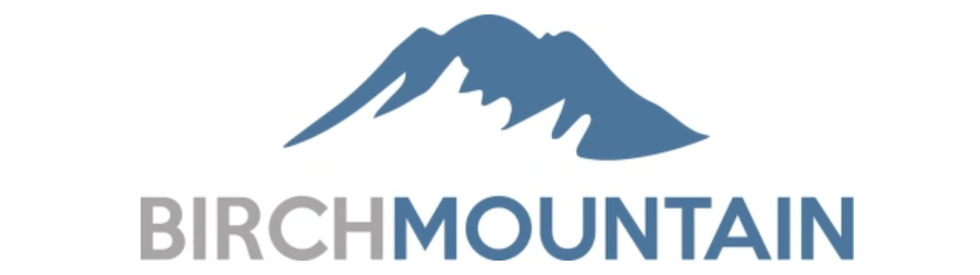 Birch Mountain Anesthesia in Anchorage, Alaska logo