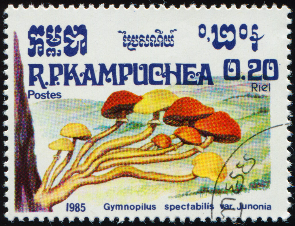 Laughing Gym Mushroom Cambodia Stamp