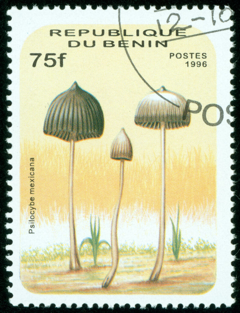 BENIN - CIRCA 1996: A stamp printed in Benin shows the Teonanacatl psychedelic mushroom, Psilocybe mexicana, circa 1996.