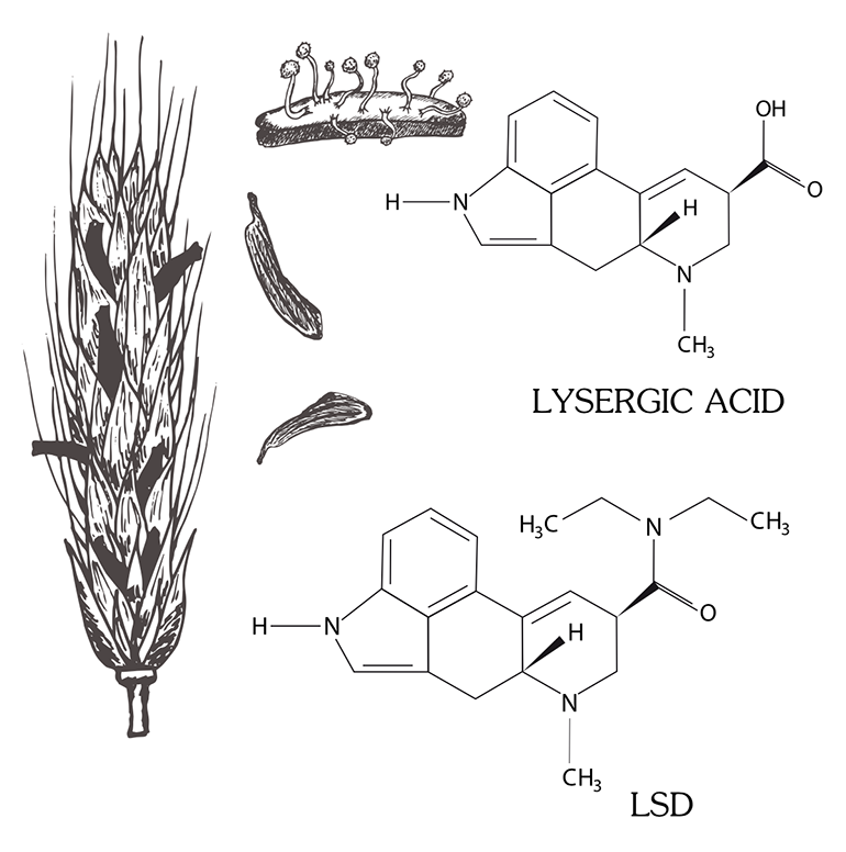 LSD Lysergic Acid Compound