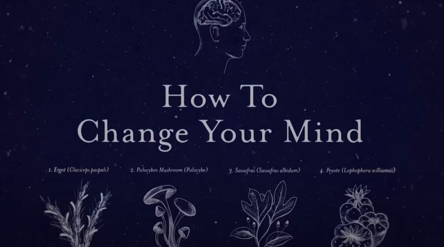 The 7 Biggest Takeaways From Netflix’s ‘How To Change Your Mind’