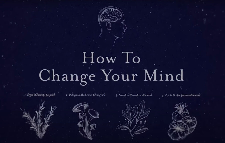 how-to-change-your-mind-7-takeaways-from-the-netflix-series