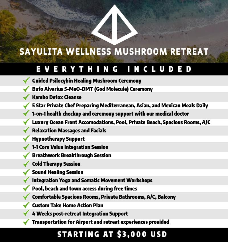 Sayulita Wellness Mushroom Retreat, what's included: Guided mushroom ceremony, bufu / 5-MeO-DMT ceremony, 5-star meals, 1-on-1 health check and support, luxury accomodations, massage and facials, and much more. Starting at $3,000 USD.