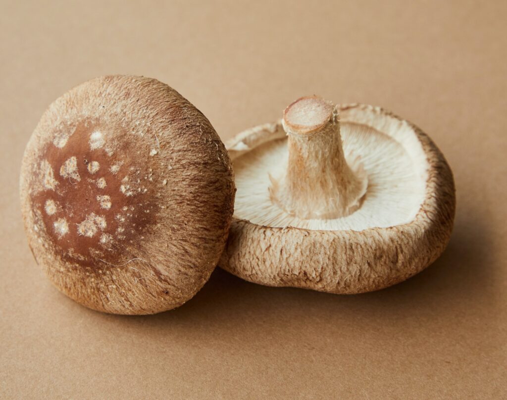 The shiitake mushroom is a staple ingredient in Asian cuisine. But it also carries surprising medicinal properties, as this guide explains