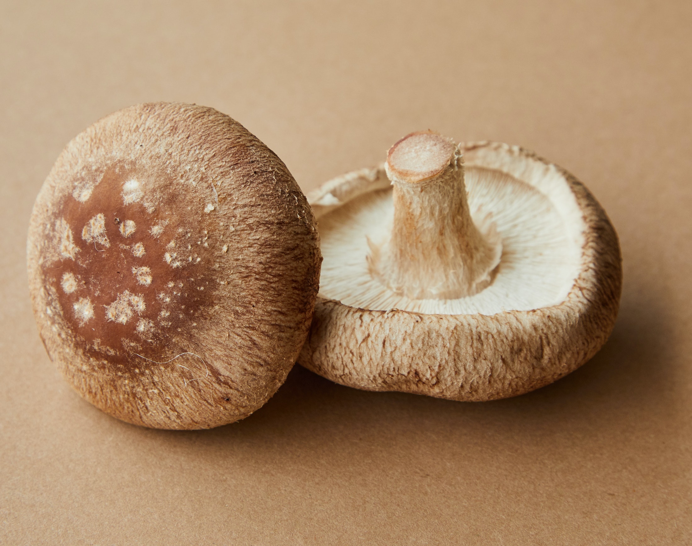 Top down view of dirty mushrooms in a black plastic container and a mushroom  cleaning brush on a textured surface Stock Photo