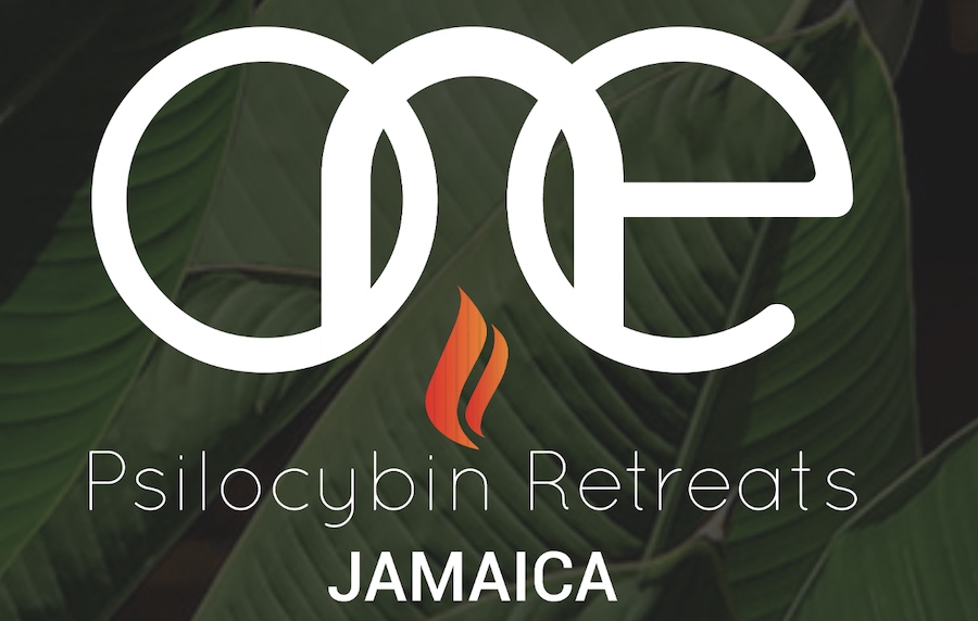 ONE Psilocybin Retreats in Negril, Jamaica logo