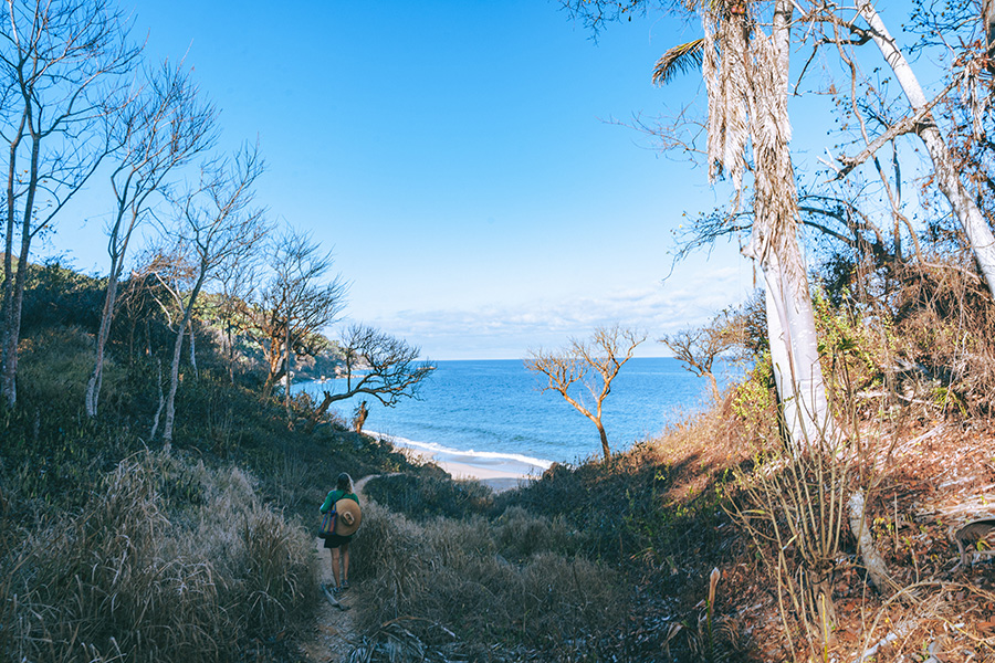 A trail down a hillside leading to a private beach at Soul Medicine in Nayarit, Mexico.