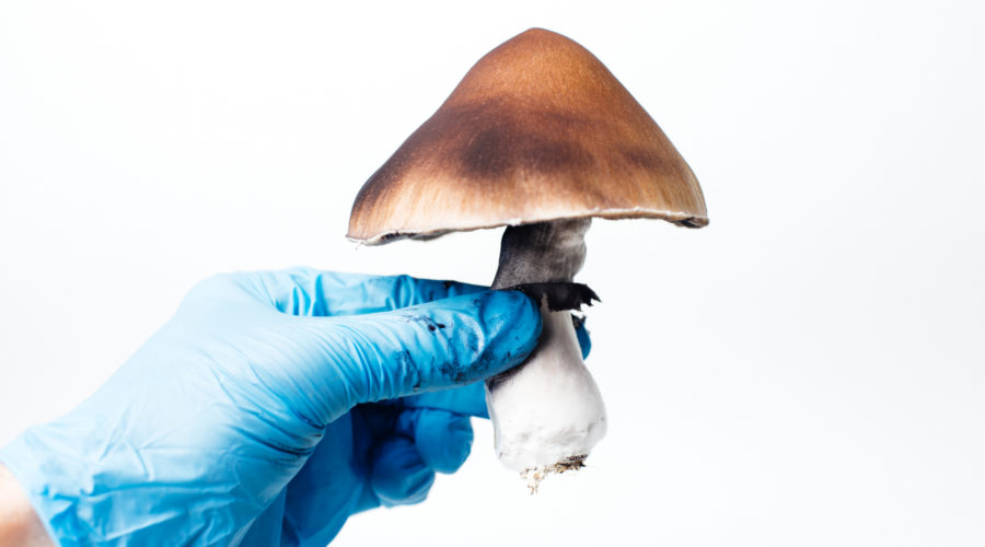 The Stigma Of Psychedelics – Why ‘Illegal’ Doesn’t Always Mean ‘Dangerous’