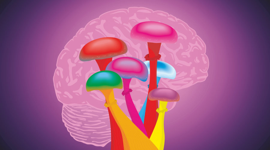The Top 10 Psychedelic Science Studies Of 2022