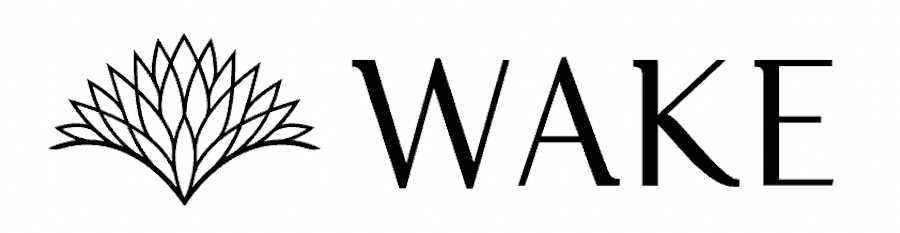 Wake in Jamaica logo