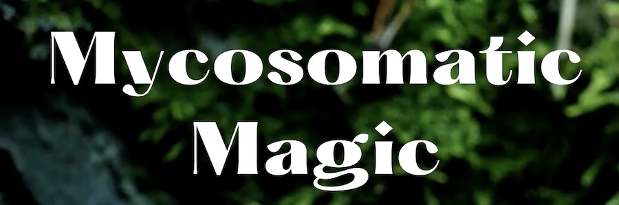 Mycosomatic Magic in Ronda, Spain logo