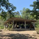 Modernized vs traditional ayahuasca ceremonies
