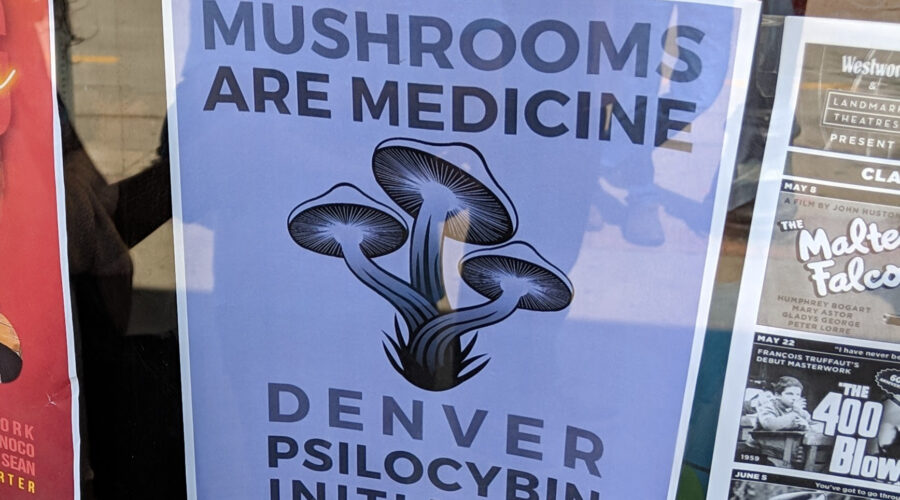 New Psychedelic Bill Introduced, Some Coloradans Worry It’s Too Restrictive