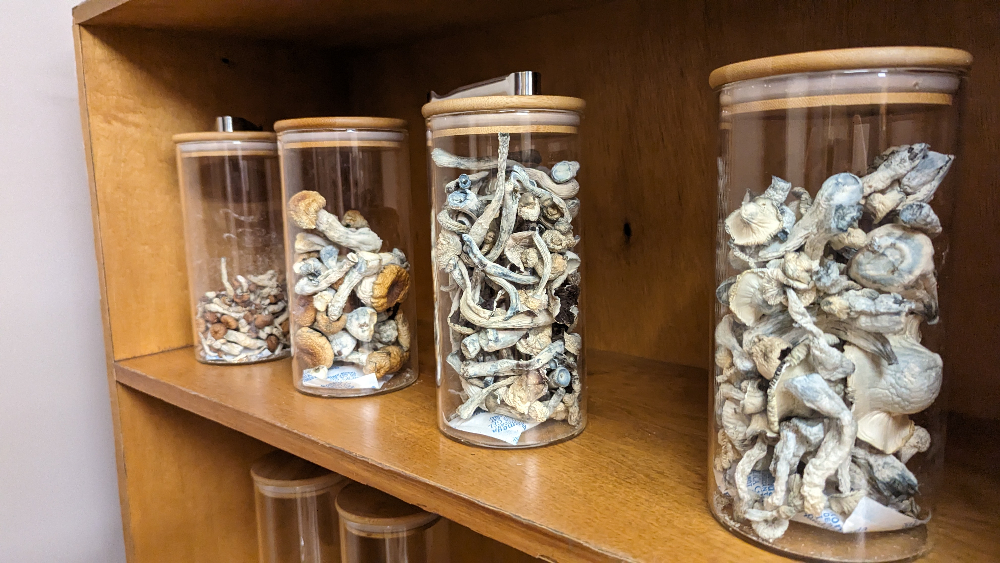 Are Mushrooms Legal in Colorado? The Answer is a Little Tricky