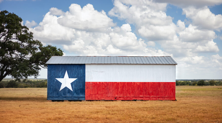 This Texas Republican Is Pushing for Psychedelic Treatments