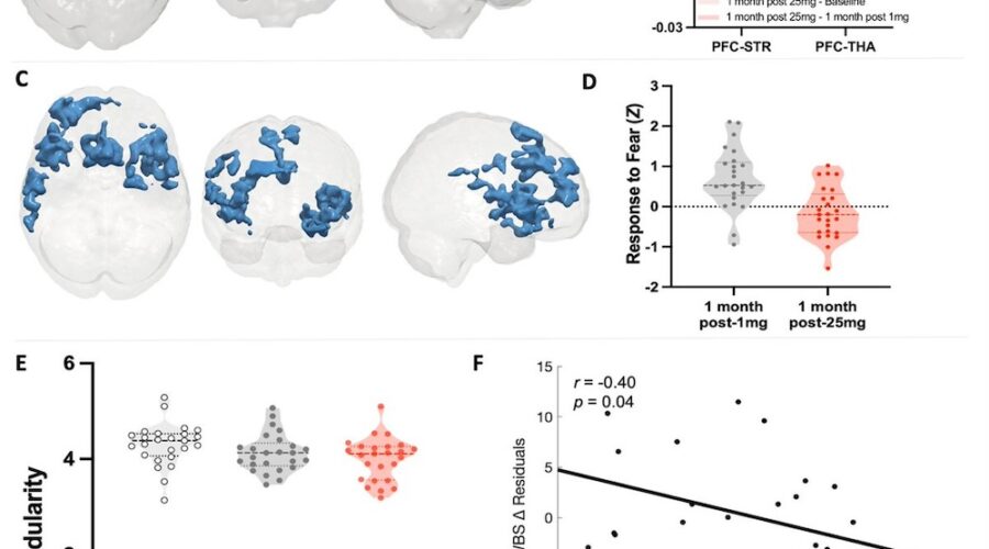 Study: How a Single Dose of Psilocybin Reshapes the Brain — For the Better