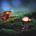 magic mushrooms are getting stronger