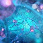 Psilocybin and Parkinson’s