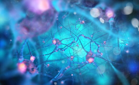 Psilocybin and Parkinson’s