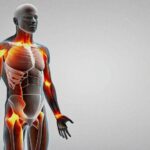 psychedelics and inflammation