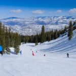 Aspen Skier brain injury psychedelics