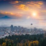 Oregon Magic Mushroom Edibles Contain Zero Psilocybin