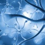 Psychedelics Affect Far More Brain Cells Than Scientists Believed