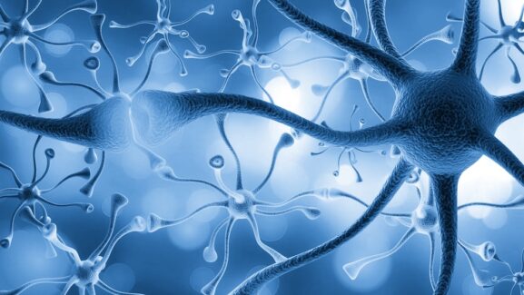 Psychedelics Affect Far More Brain Cells Than Scientists Believed