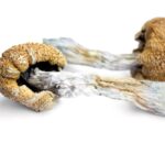 Psilocybin Shows Promise for OCD in New Research