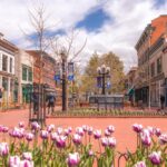 Colorado's First Three Psilocybin Healing Centers