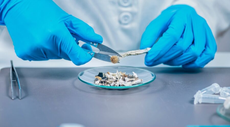 FDA Clears Compass Pathways to Begin Late Stage Psilocybin Trial for PTSD