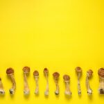 Low Dose Psilocybin Shows Metabolic Benefits Without the Trip