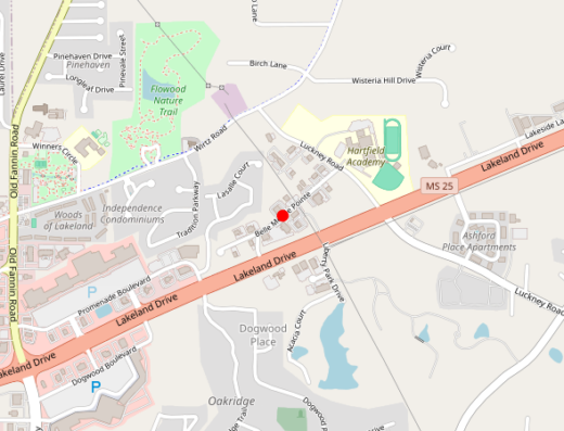 ms_glo Flowood MS Map