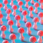 Jack Bergman Psychedelic Treatment Research