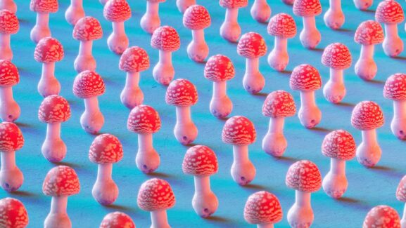 Jack Bergman Psychedelic Treatment Research