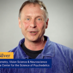 Neuroscientist Describe Your Brain on Psychedelics