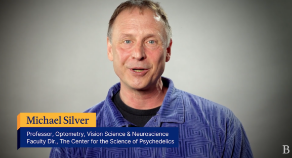 Neuroscientist Describe Your Brain on Psychedelics