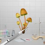 Psilocybin Study Finds Rapid Depression Relief After One Dose