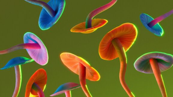 Psychedelic Drug Market