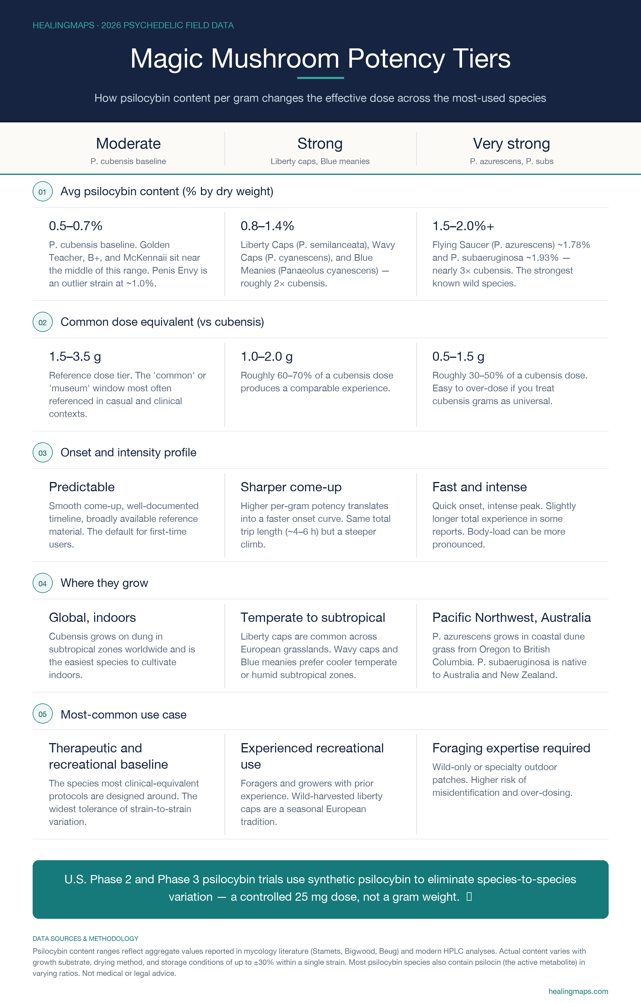 Magic mushroom potency tiers infographic: moderate (P. cubensis), strong (Liberty Caps, Blue Meanies), and very strong (P. azurescens, P. subaeruginosa) compared on psilocybin content, dose equivalence, onset profile, distribution, and use case