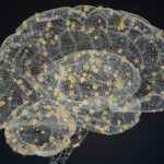 Ketamine Brain Response Depends on patient