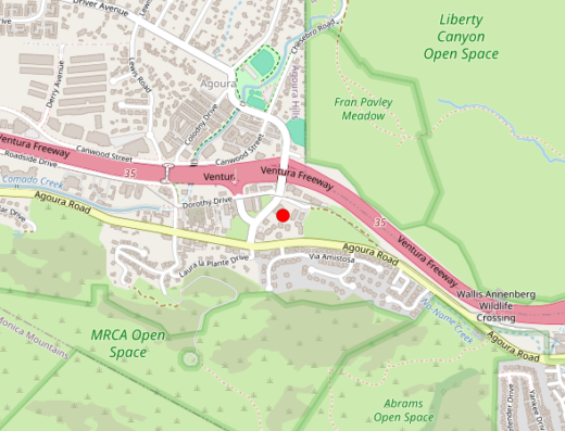 BNI Clinics Agoura Hills CA Map