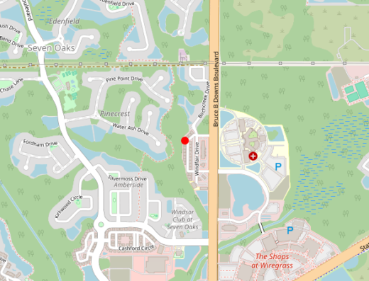 Qvita Health and Wellness Wesley Chapel Florida Map