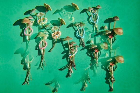 Oregon psilocybin safety